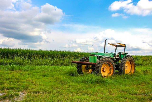 Farmland